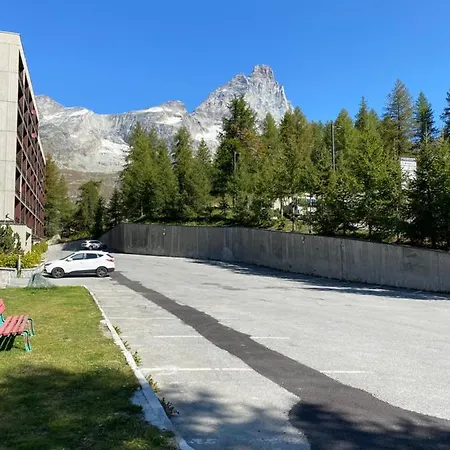 Christian's * 브루일서비니아